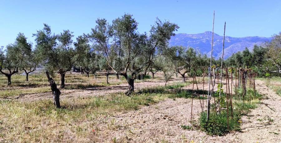 Venta - Finca - Muro de Alcoy