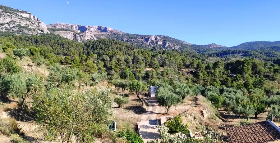 Te koop - Landhuis - Benasau