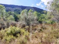 Venta - Casa de Campo - Villalonga