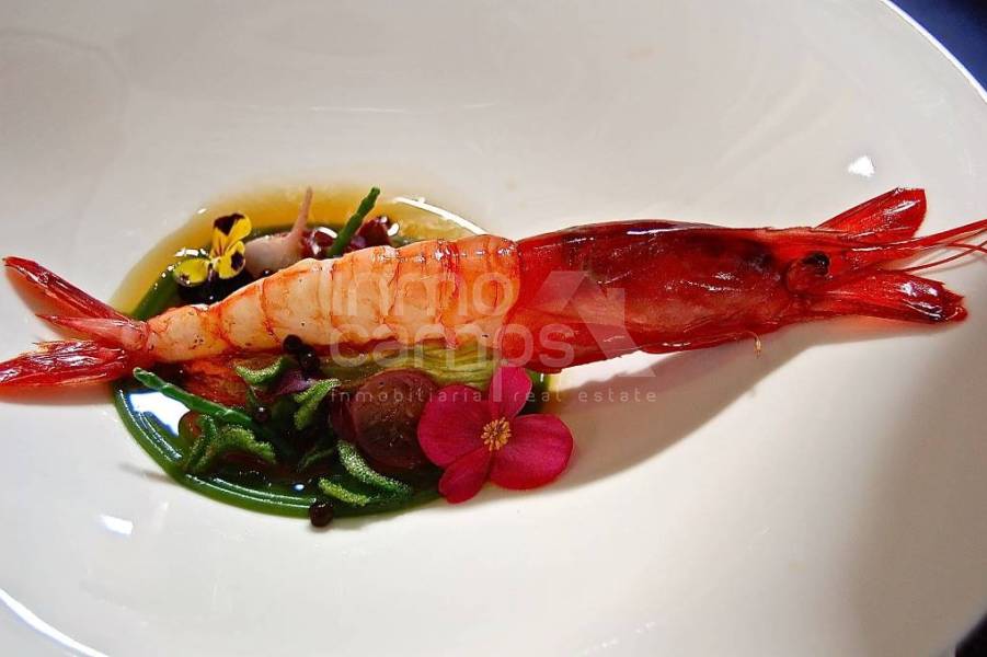 Nieuwbouw - Villa - Denia