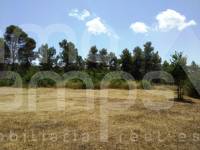 Venta - Finca - Bocairent