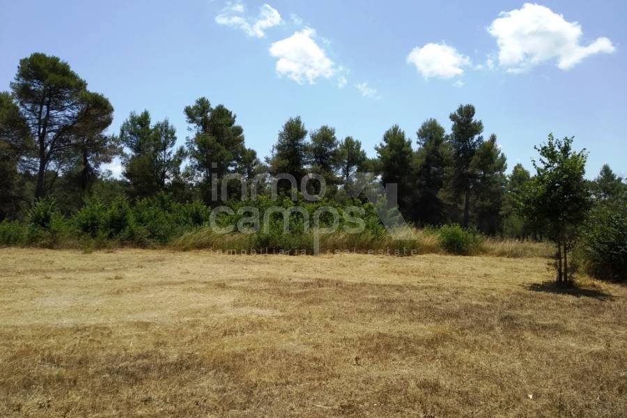 Venta - Finca - Bocairent