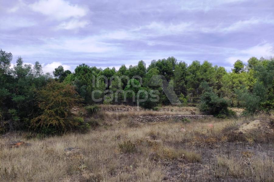 Venta - Casa de Campo - Bocairent