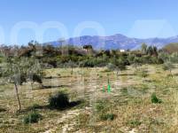 Venta - Finca - Muro de Alcoy