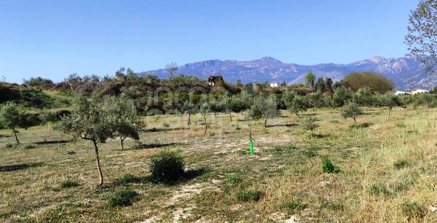 Venta - Finca - Muro de Alcoy