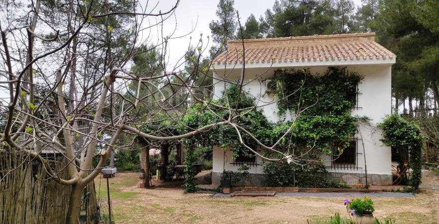 Venta - Casa de Campo - Bocairent