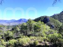 Te koop - Finca - Alcoy