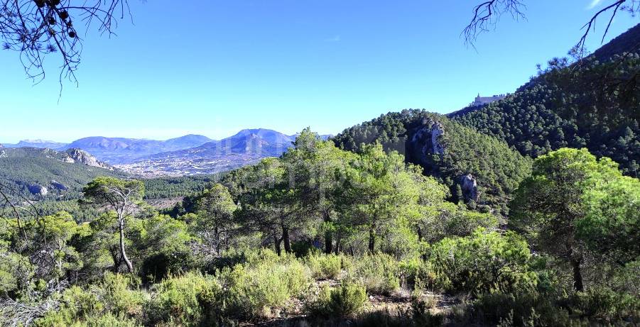 For sale - Finca - Alcoy