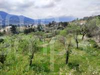 Venta - Finca - Cocentaina