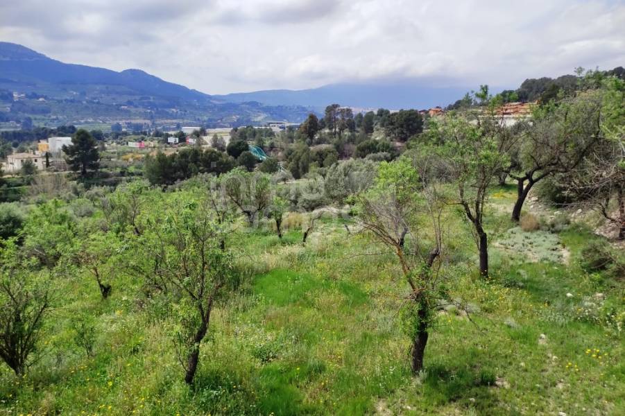 Venta - Finca - Cocentaina