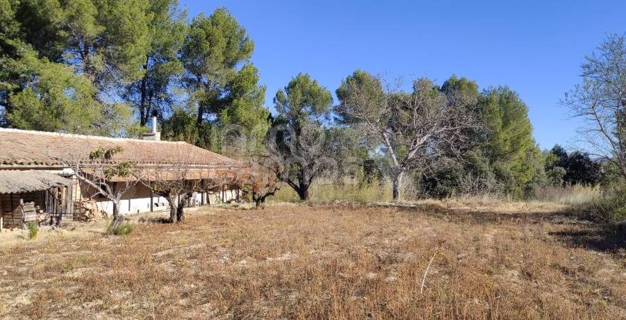 Venta - Finca - Bocairent