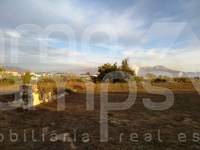 For sale - Rustic Land - Cocentaina