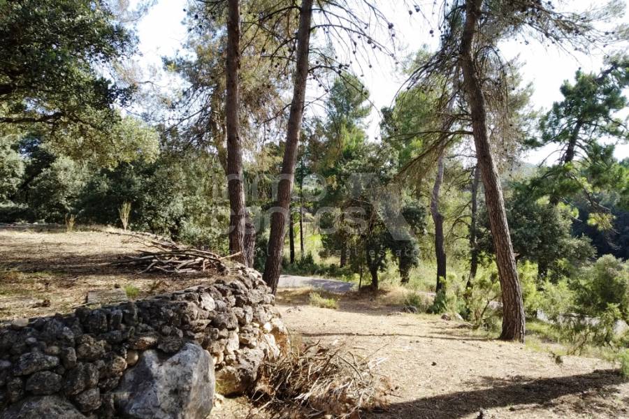 Venta - Casa de Campo - Bocairent