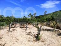 Venta - Casa de Campo - Penáguila