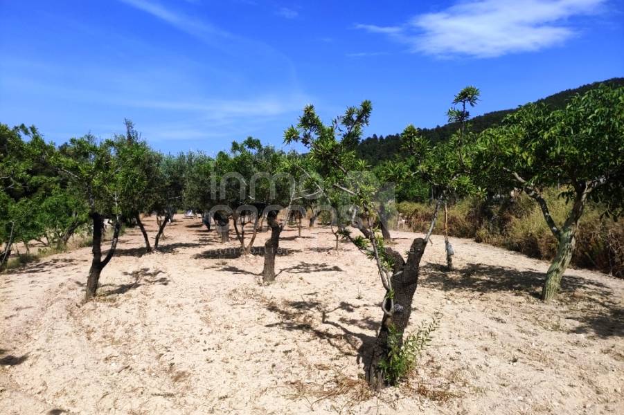 Venta - Casa de Campo - Penáguila