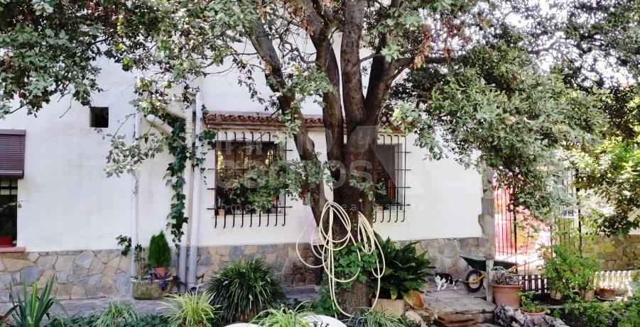 For sale - Finca - Alcoy