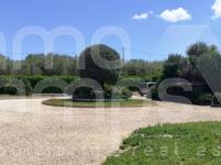 For sale - Villa - Alcocer de Planes