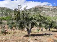 Venta - Casa de Campo - Muro de Alcoy