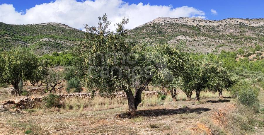 Venta - Casa de Campo - Muro de Alcoy