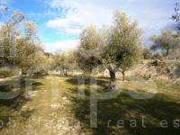 Te koop - Landhuis - Cocentaina