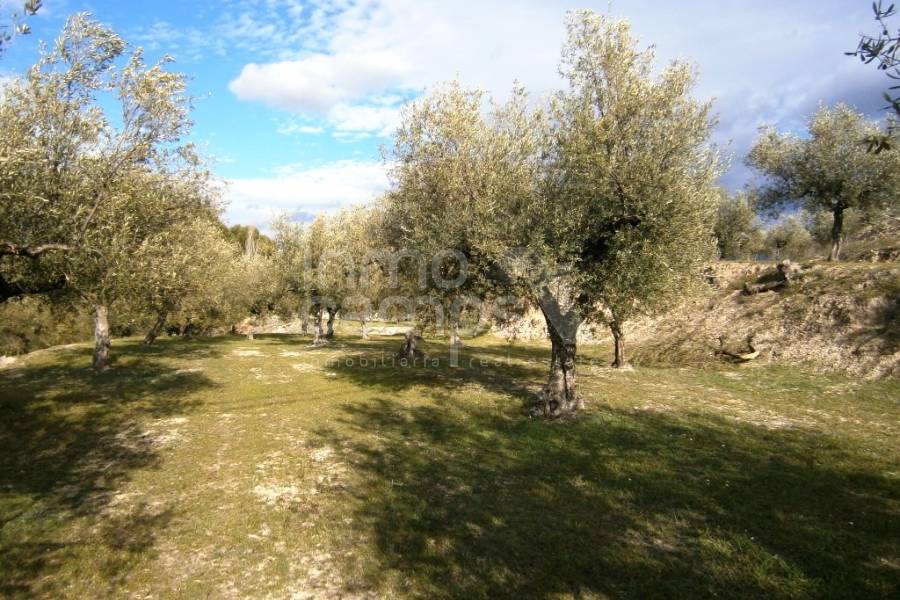 Te koop - Landhuis - Cocentaina