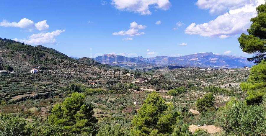 Te koop - Landhuis - Benasau