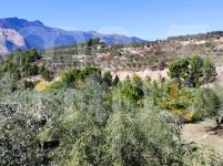 Te koop - Landhuis - Cocentaina