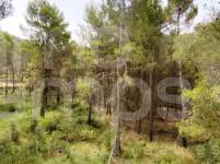 Venta - Finca - Alcoy