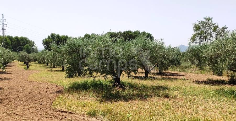 Venta - Casa de Campo - Muro de Alcoy