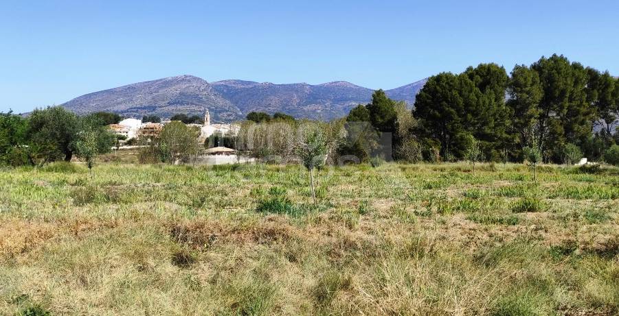 Venta - Finca - Muro de Alcoy