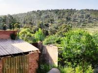 Venta - Finca - Penáguila