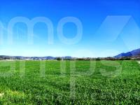 For sale - Finca - Alfafara