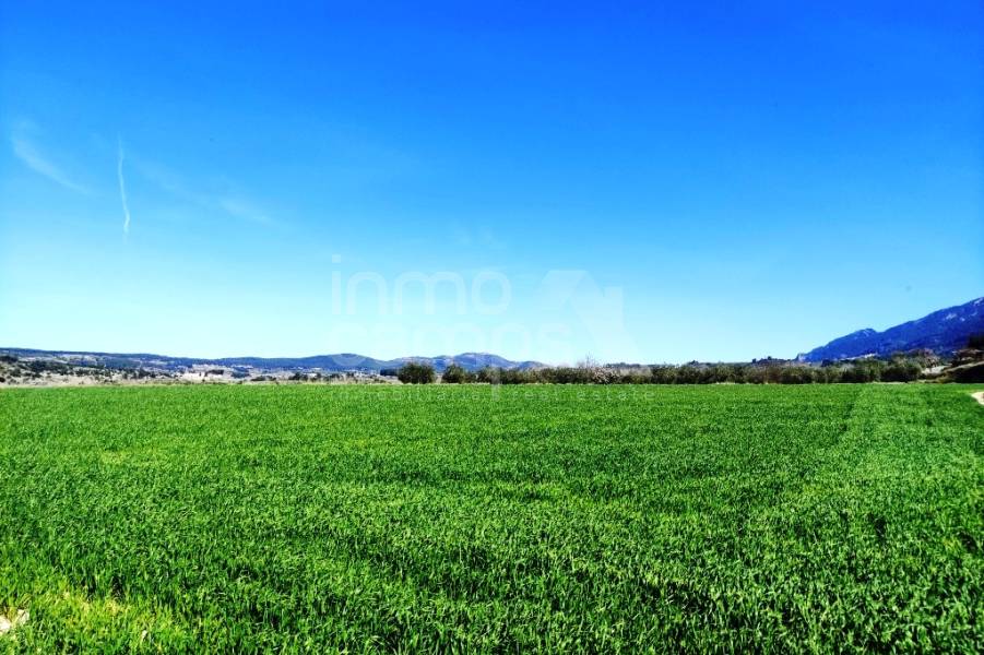 For sale - Finca - Alfafara