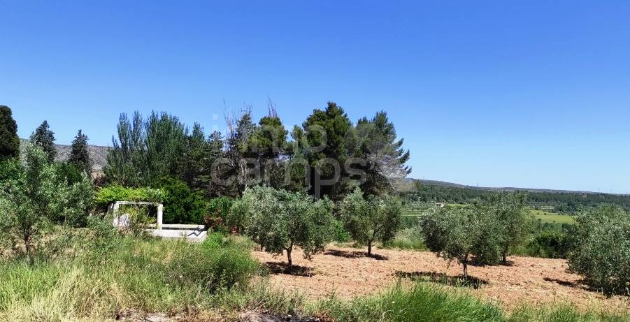 Venta - Finca - Bocairent