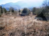 Te koop - Finca - Agres