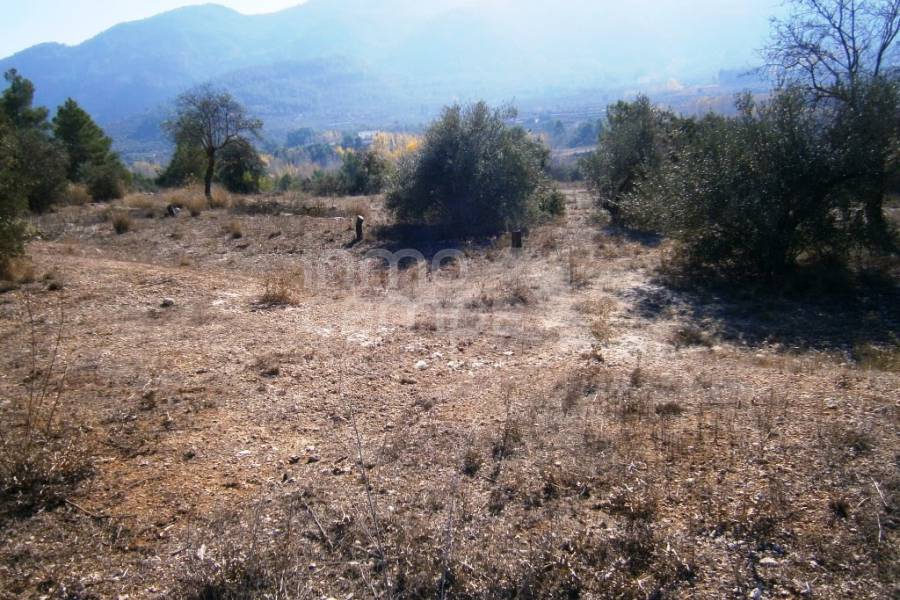 Venta - Finca - Agres