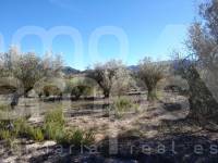 For sale - Rustic Land - Benimarfull