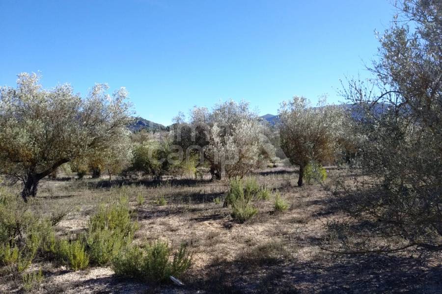 For sale - Rustic Land - Benimarfull