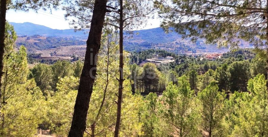 For sale - Country House - Cocentaina