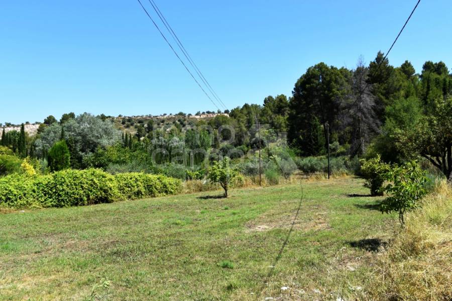 Venta - Finca - Cocentaina