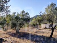 Venta - Finca - Alcoy