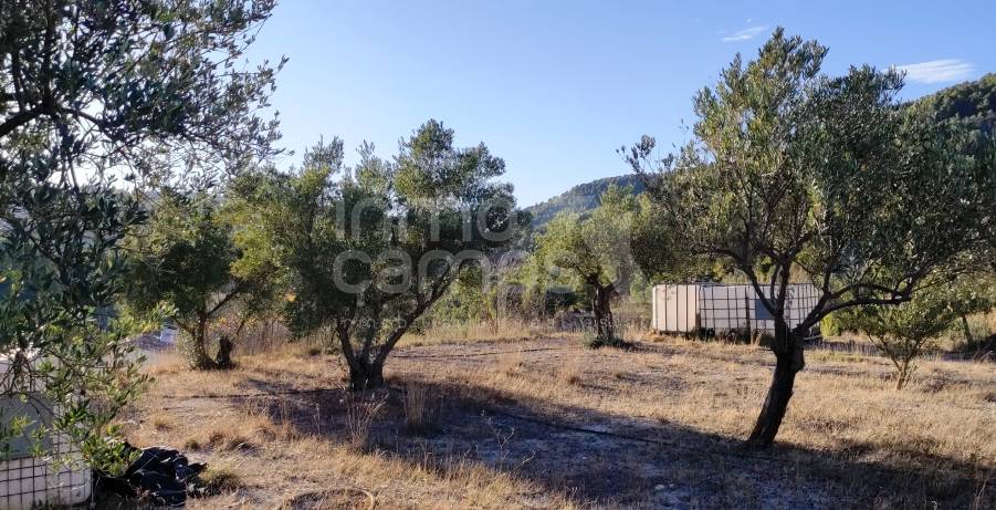 Te koop - Finca - Alcoy