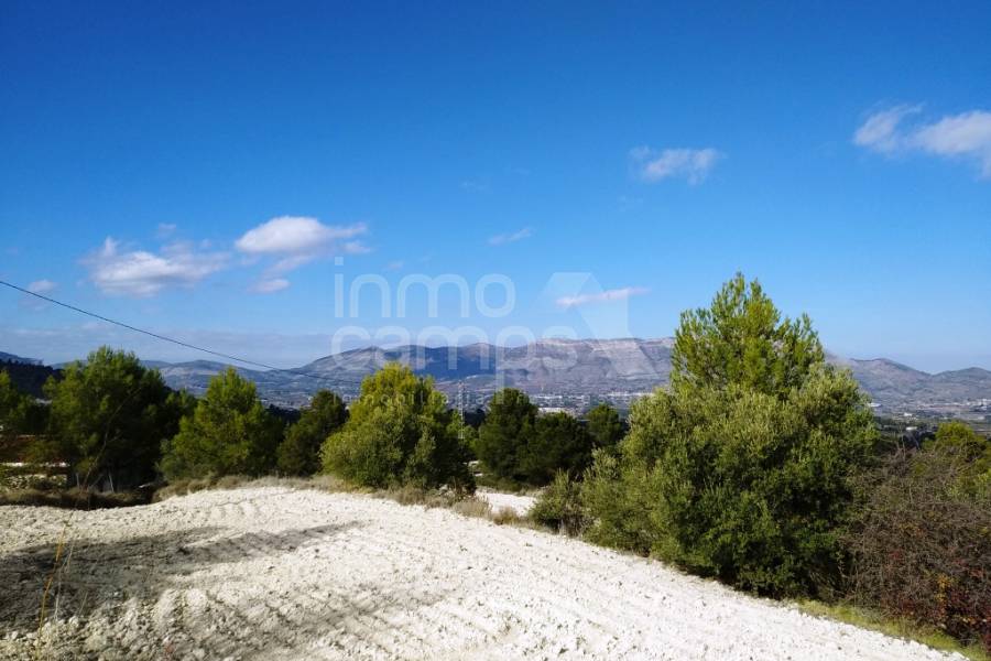 For sale - Rustic Land - Benillup