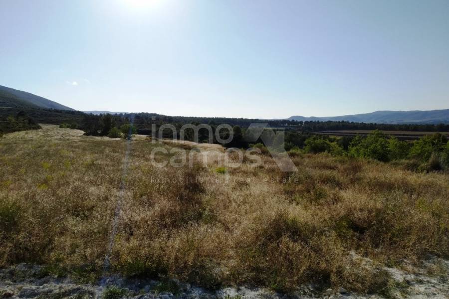 For sale - Finca - Ontinyent