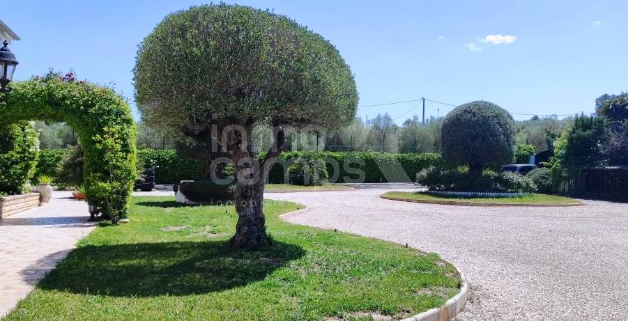 For sale - Villa - Alcocer de Planes