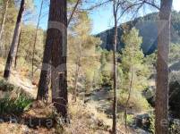 Venta - Finca - Alcoy