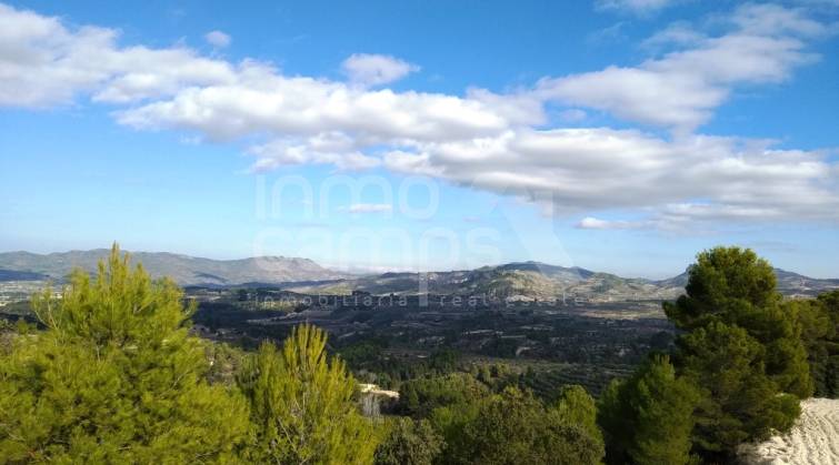 Rustic Land - For sale - Benillup - Benillup