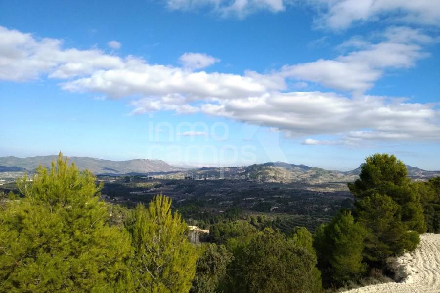 For sale - Rustic Land - Benillup