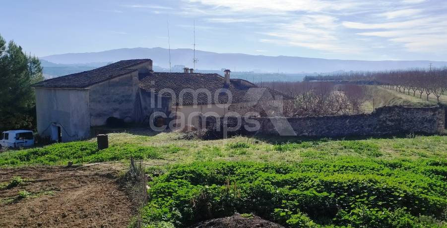 Venta - Finca - Albaida