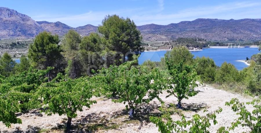 Venta - Parcela Rústica - Planes